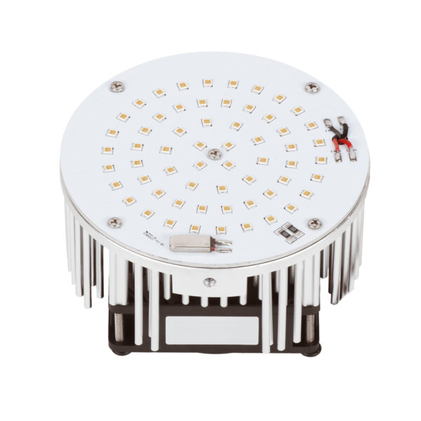 MULTI-USE RETROFIT<br>45 WATT<br>AMBER